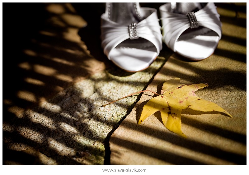 Bridal Shoes and Leaf