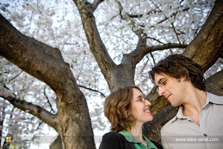 Couple and Tree in Full Bloom