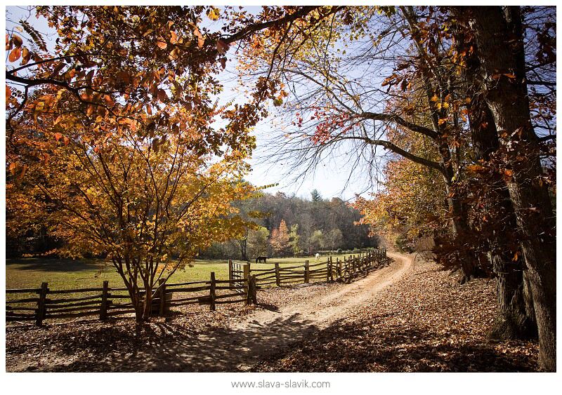 Neverland Farms Access Road