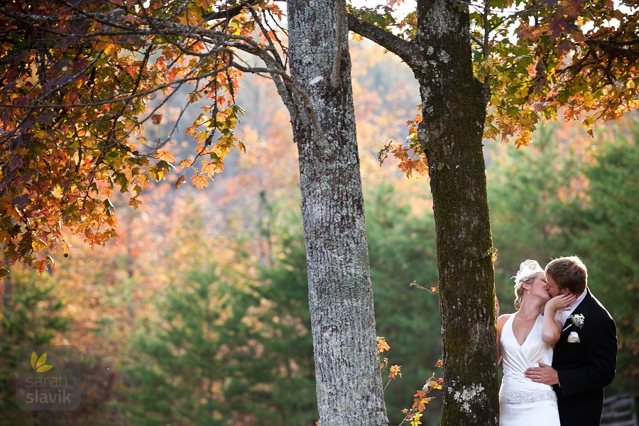 Bride groom two trees