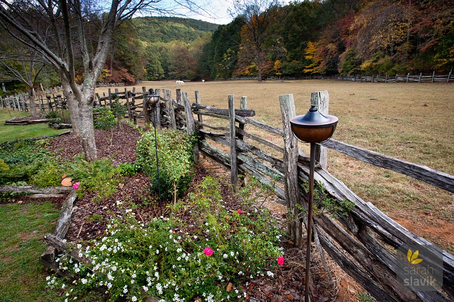 Neverland Farms pastures