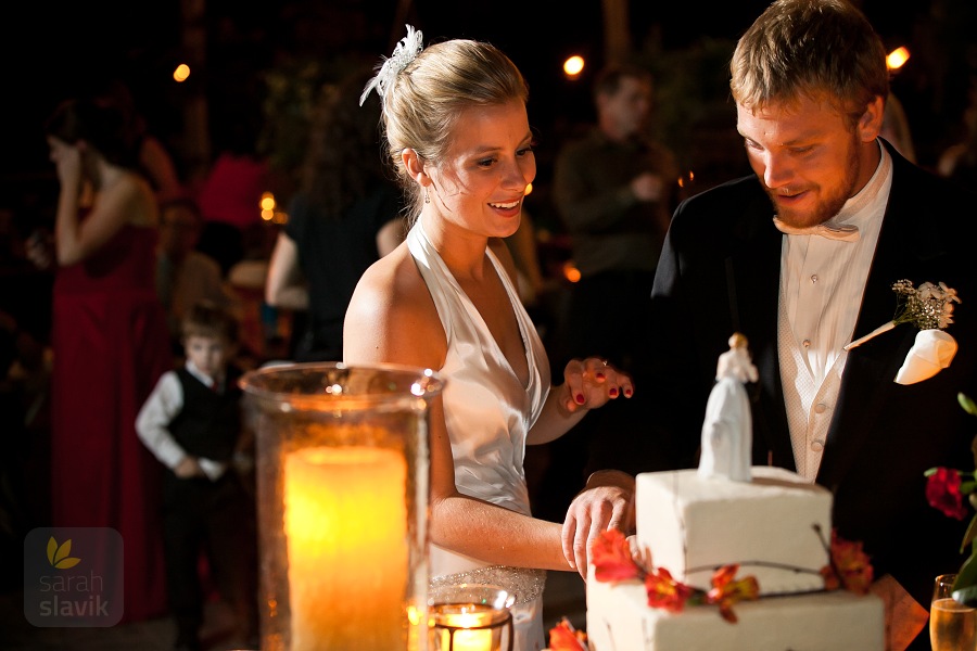 Wedding cake cutting