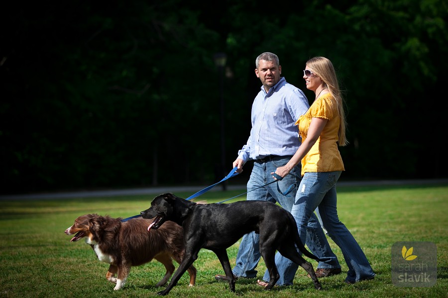 Engaged couple with dogs