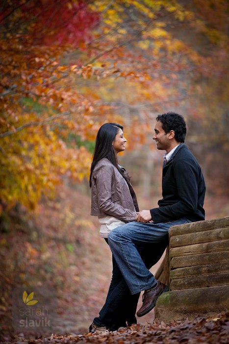 Great colors photo Great colors photo