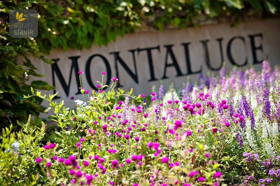 Montaluce sign